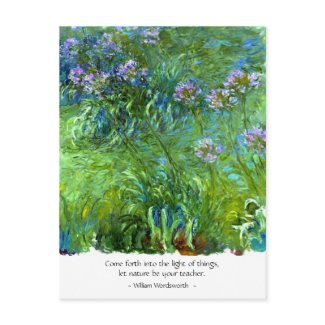 Claude Monet: Agapanthus