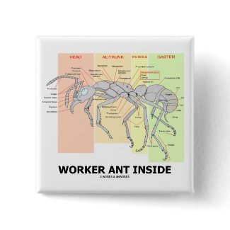 Worker Ant Inside (Ant Anatomy) button