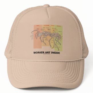 Worker Ant Inside (Ant Anatomy) hat
