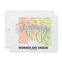 Worker Ant Inside (Ant Anatomy) invitations by wordsunwords Worker Ant Inside (Ant Anatomy) invitations