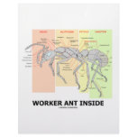 Worker Ant Inside (Ant Anatomy) Custom Letterhead