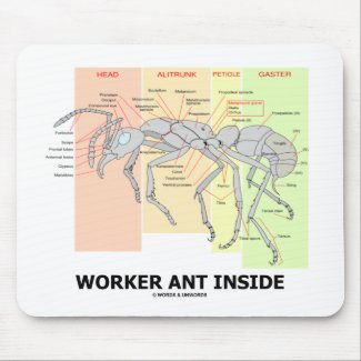Worker Ant Inside (Ant Anatomy) mousepad