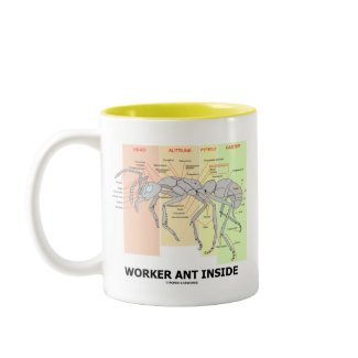 Worker Ant Inside (Ant Anatomy) mug