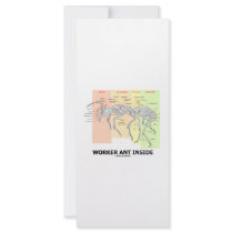 Worker Ant Inside (Ant Anatomy) rack cards by wordsunwords Worker Ant Inside (Ant Anatomy) rack cards