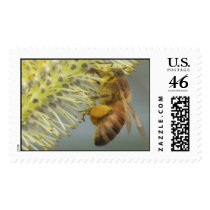 Working Bee 2 PS postage