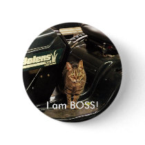 working cat, I am BOSS! buttons by KatAnnette working cat, I am BOSS! buttons