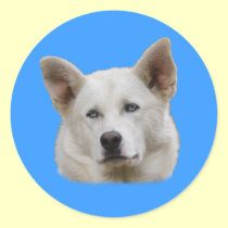 Working Dog stickers