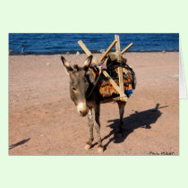 Working Donkey cards by CrisIsaac Working Donkey cards