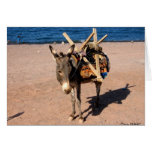 Working Donkey cards