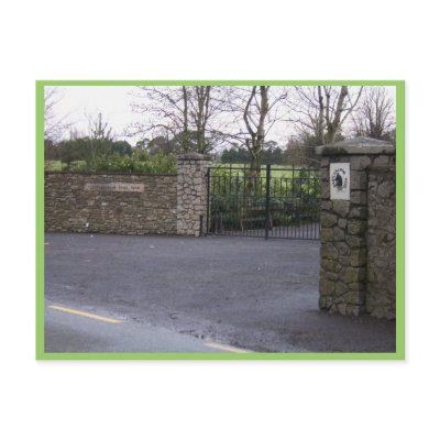 castlemartin stud