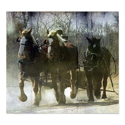 Working Horses print