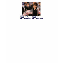 Working Mom's SupportSarah Palin t-shirts