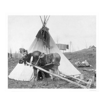Working Moose Teepee 1916 Posters by lc_alaska