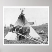 Working Moose Teepee 1916 Posters