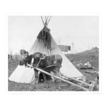 Working Moose Teepee 1916 posters