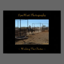 ~ Working The Chutes ~ posters