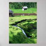 Working the Fields Posters