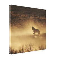 Working Up the Ranks canvas prints