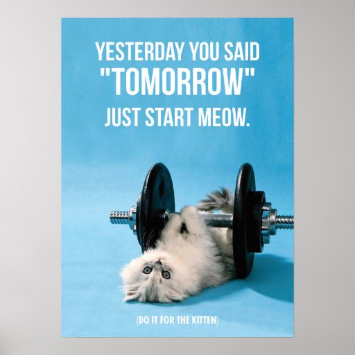 Workout Funny Motivation - Cat - Start Meow Poster
