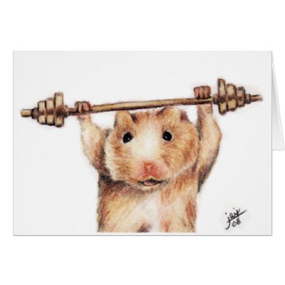 Hamster Weight Lifting