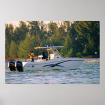 World Cat 250SF Posters