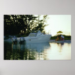 World Cat 270SC  Posters
