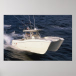 World Cat 330TE Poster