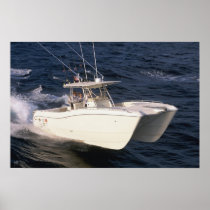 World Cat 330TE Poster