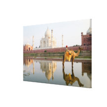 World famous Taj Mahal temple burial site at Canvas Prints