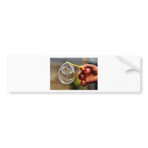 World in a Bubble Bumper Sticker