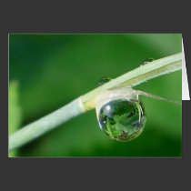 World in a droplet cards