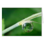 World in a droplet cards