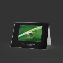 World in a droplet cards