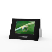 World in a droplet cards by Rainmountain World in a droplet cards
