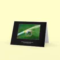World in a droplet cards