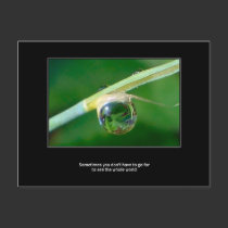 World in a droplet postcards