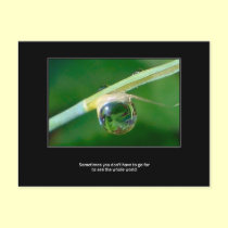 World in a droplet postcards
