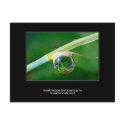 World in a droplet postcards by Rainmountain World in a droplet postcards