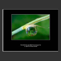 World in a droplet postcards