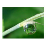 World in a droplet postcards