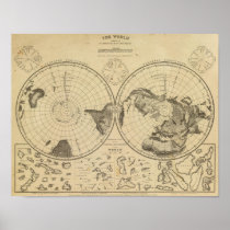 World land surface