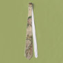 World Map 1689 Necktie
