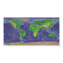 World map posters