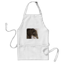 world of eric ginsburg erics land aprons
