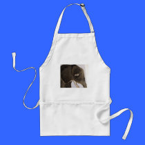world of eric ginsburg erics land aprons