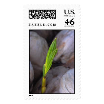 world of nuts postage