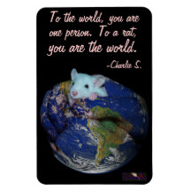 World Rat Flexi Magnet 4"x6"