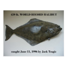 World Record Halibut caught in Dutch Harbor, AK Postcards