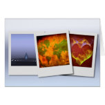 World Ripple Cards