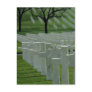World War II cemetery, Memorial Day Post Card